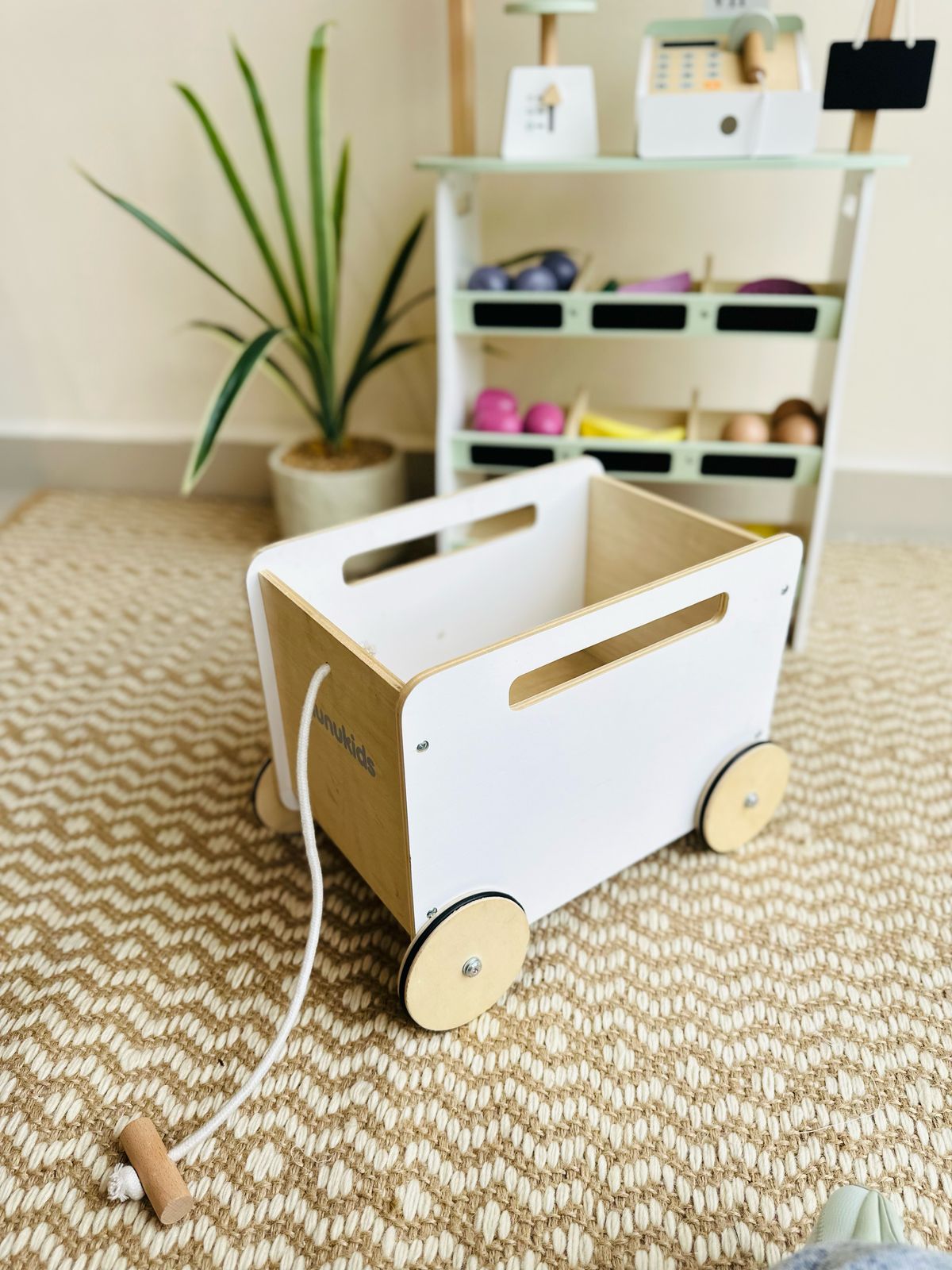 TIENDA CON CARRITO